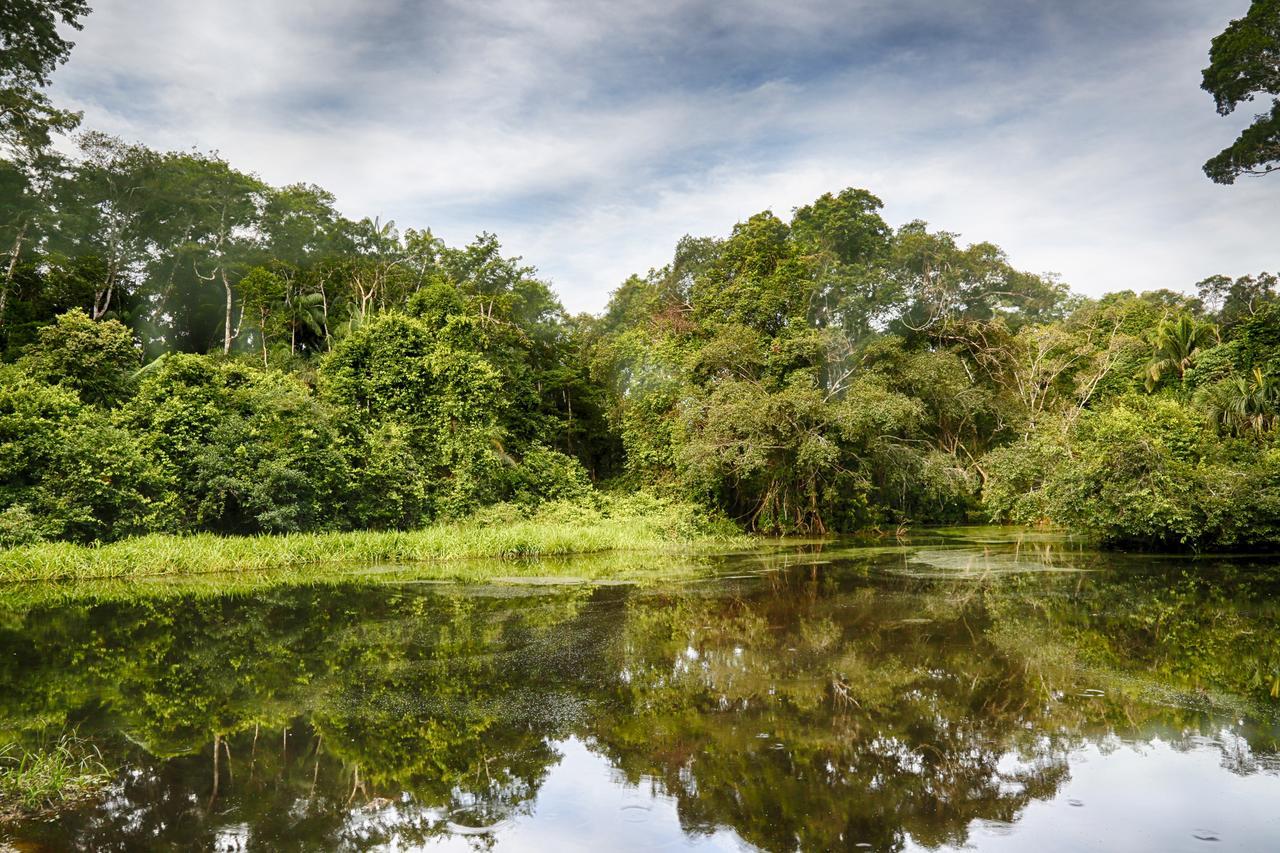 Ecoamazonia Lodge ปูแอร์โต มัลโดนาโด ภายนอก รูปภาพ
