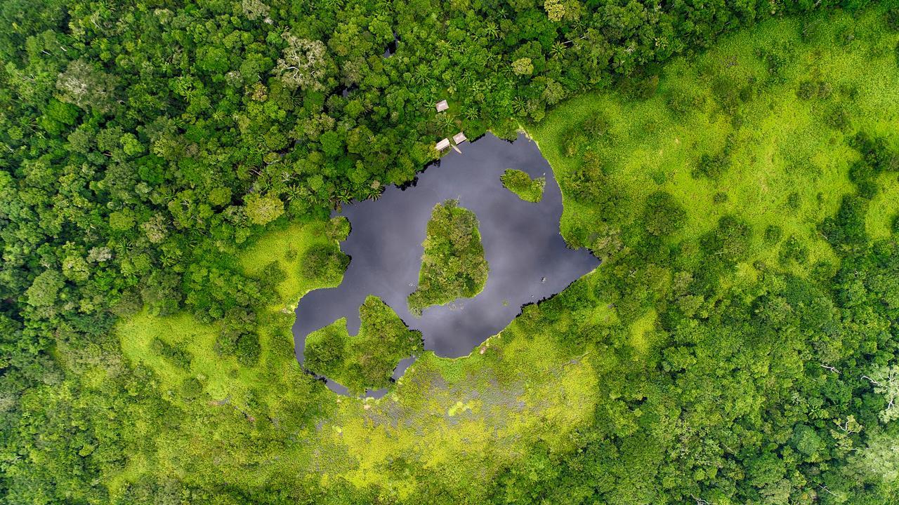 Ecoamazonia Lodge ปูแอร์โต มัลโดนาโด ภายนอก รูปภาพ